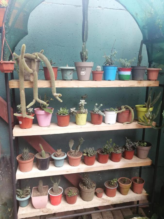 エレディアCasa Coraアパートメント エクステリア 写真